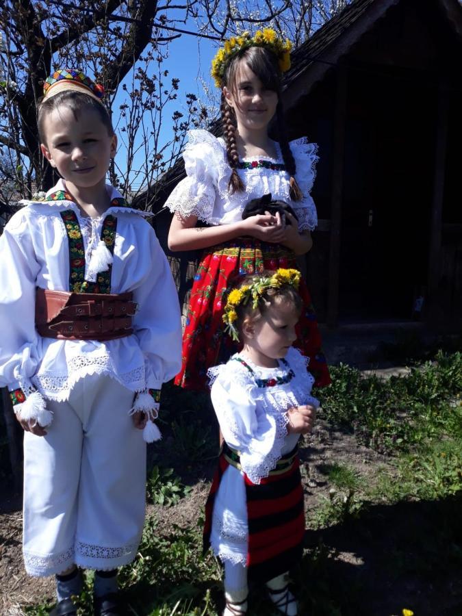 Pensiunea Maria Sighetu Marmaţiei Екстериор снимка